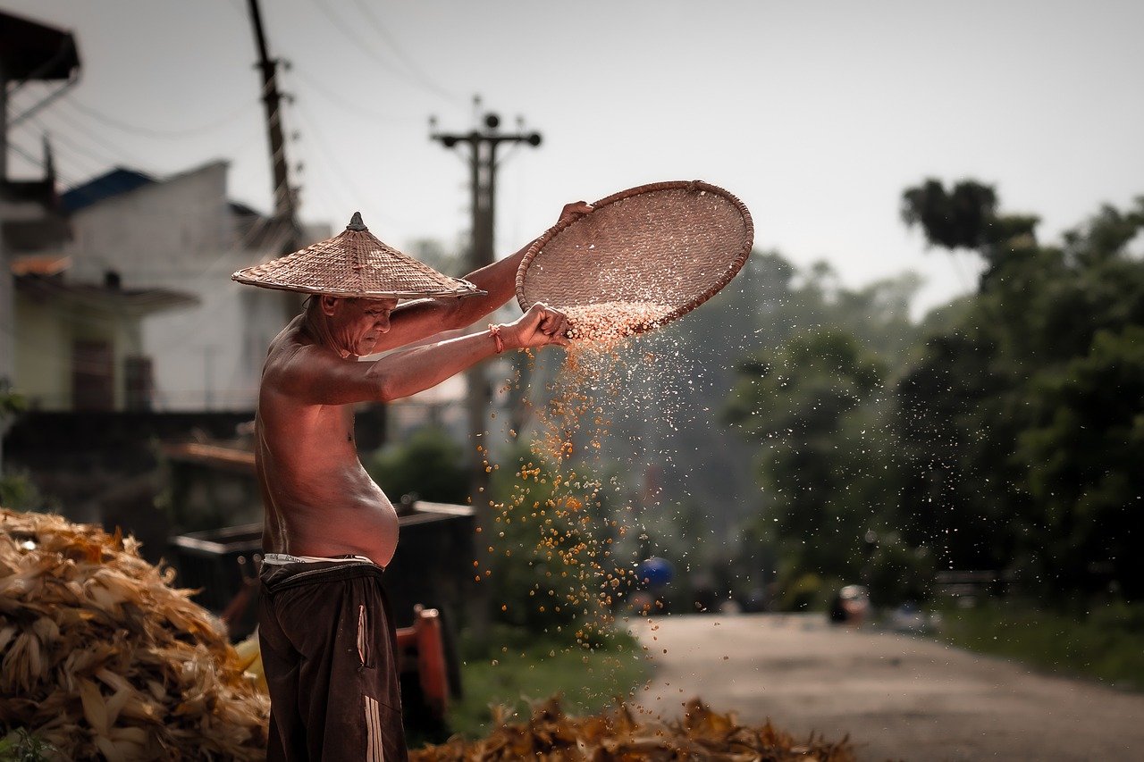 Nepali Farmer