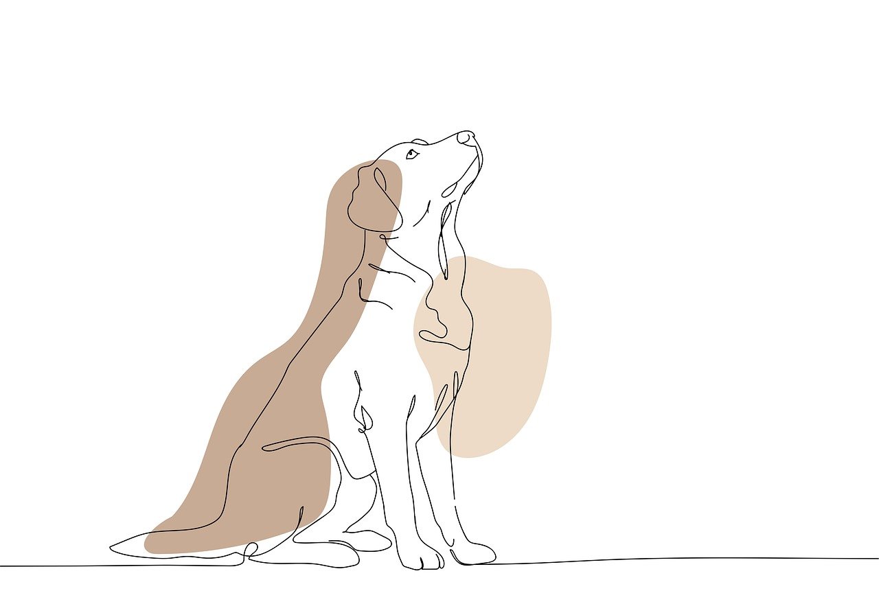 The Dynamic Shift In Cultural Movements: A Contemporary Perspective