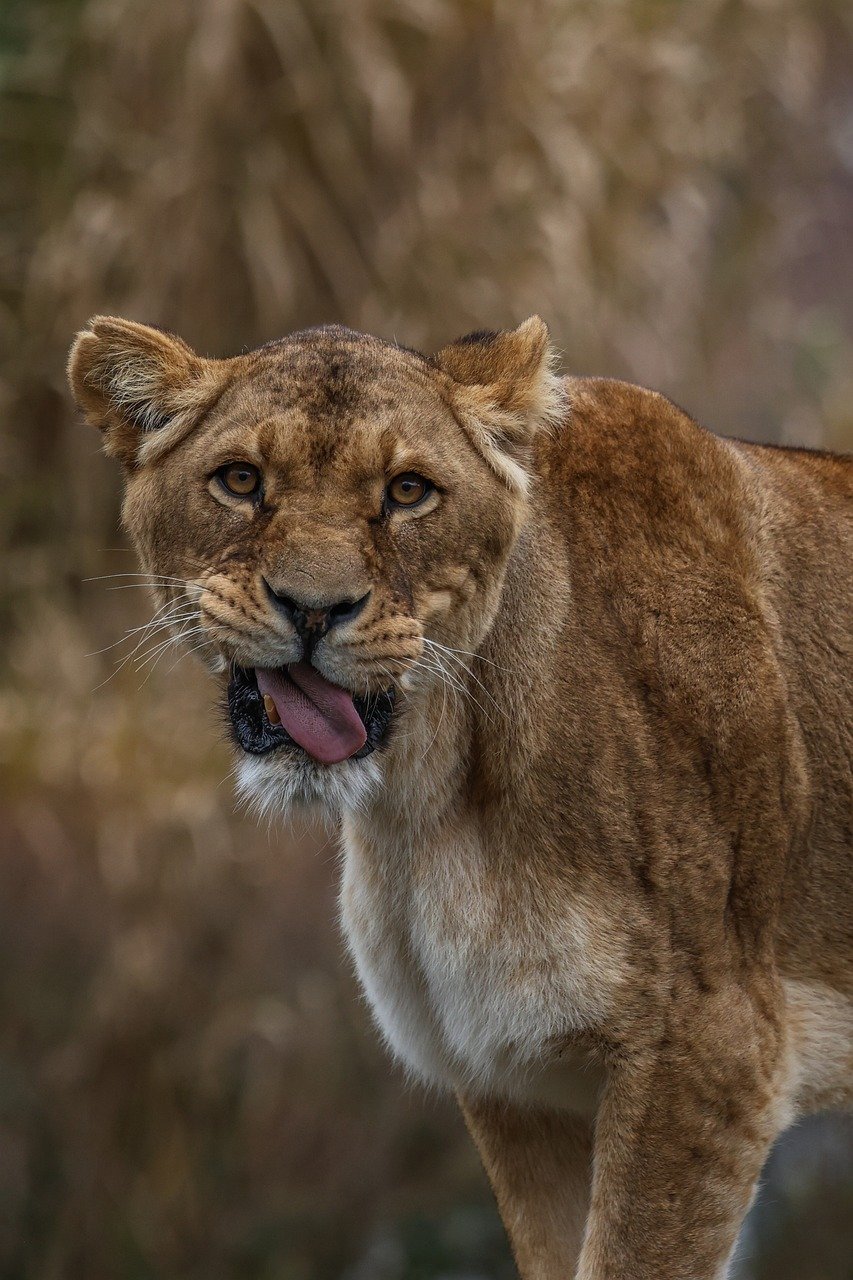 Unveiling The Secrets Behind Breakthroughs In Renewable Energy